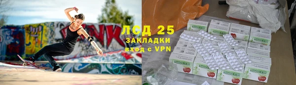 амф Гусь-Хрустальный