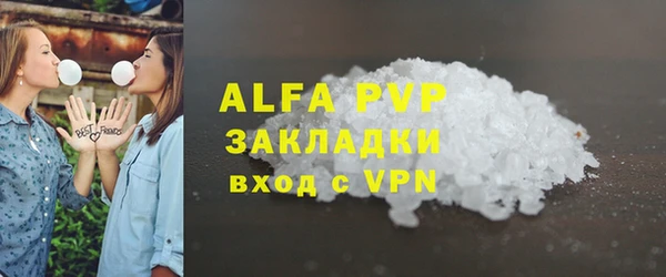 амф Гусь-Хрустальный