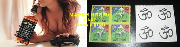 амф Гусь-Хрустальный