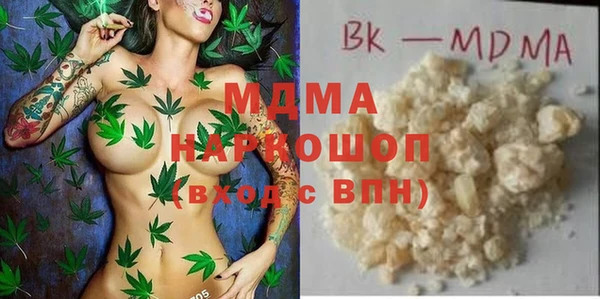 амф Гусь-Хрустальный