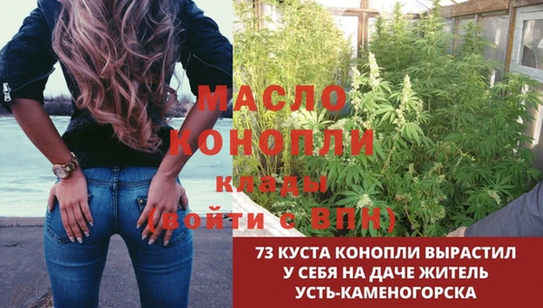 амф Гусь-Хрустальный