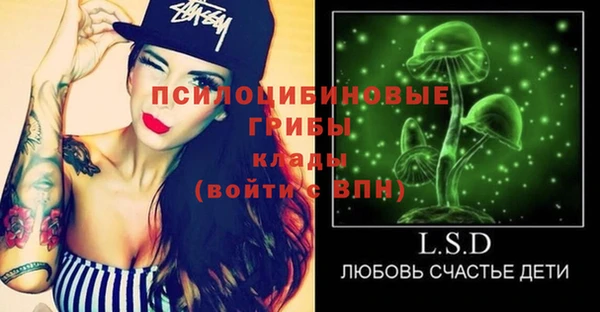 а пвп мука Гусев