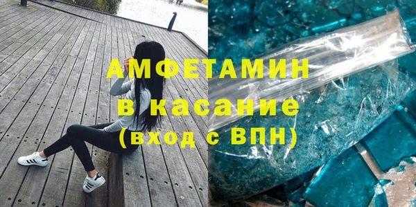 амф Гусь-Хрустальный